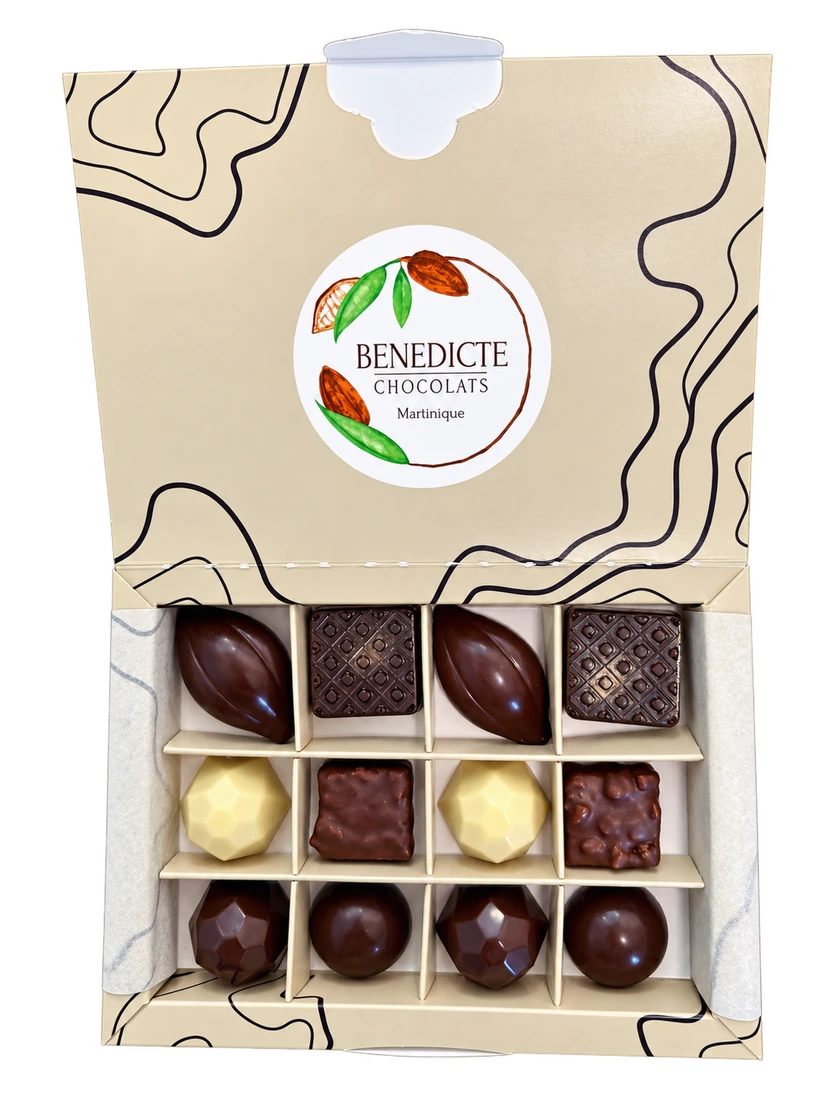 Assortiment de 12 bonbons de chocolat, gamme Baie des Trésors, Maison Bénédicte